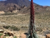 Mike 3rd video on volcano Teide, Tenerife