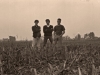 Promo Picture for Hypnoise Opium