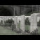 Mike 3rd “Lost” – new official video